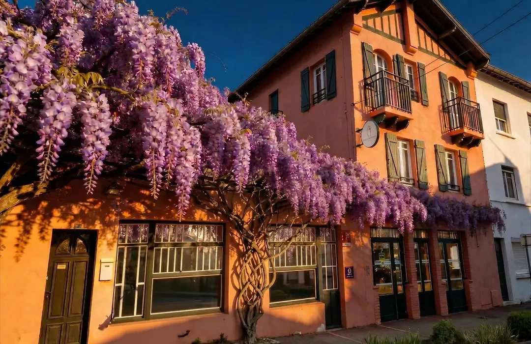 Boutique hôtel Maria-Christina-1